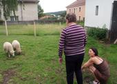 SAM_8362