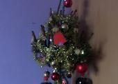SAM_9807