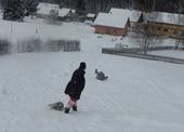 SAM_9985
