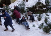 SAM_0139