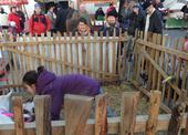 SAM_0163