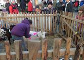 SAM_0164
