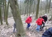 SAM_0238