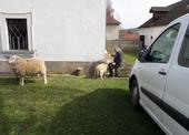 SAM_0321