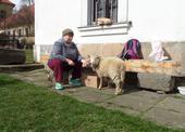 SAM_0325