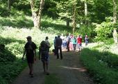 SAM_0764